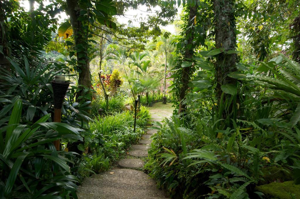 Villa Umah Shanti Ubud  Exterior photo