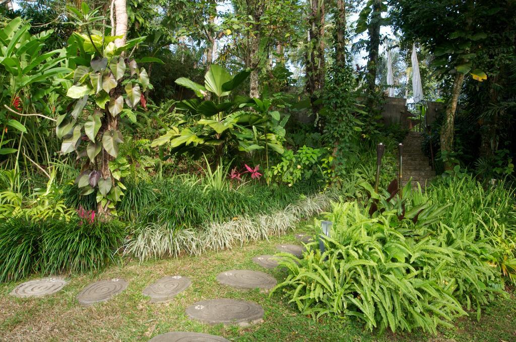 Villa Umah Shanti Ubud  Exterior photo